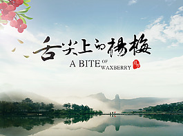 舌尖上的杨梅
