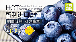蓝莓广告
