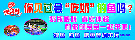 你见过会吃奶的鱼吗广告设计