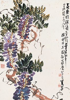 翠盖滴露