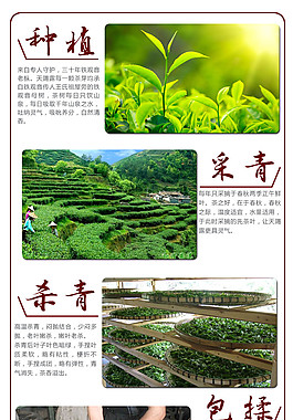 制茶工艺