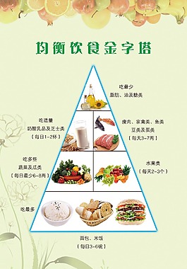 饮食金字塔PSD下载