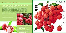 水果画册内页