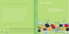 水果画册内页