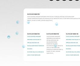 简洁网页界面flash网站模板