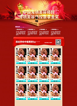 中国宠物美容师网