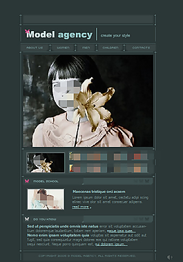 灰色界面网页设计flash网站模板