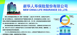 新华保险公司简介