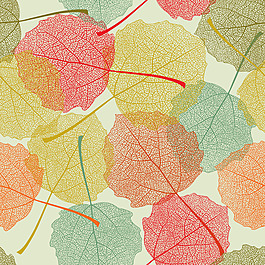 秋叶背景图片 秋叶背景素材 秋叶背景模板免费下载 六图网