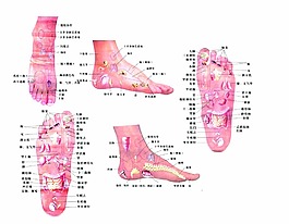 足疗穴位图片