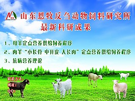 蓝天绿地牛羊