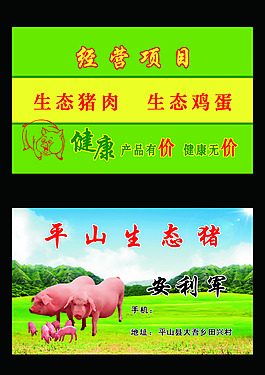 生态猪名片