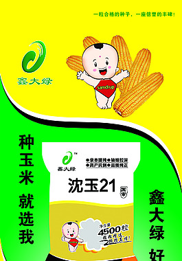 大绿种业沈玉21号展板
