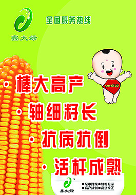 大绿种业碧海12号展架