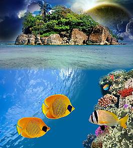 海洋世界