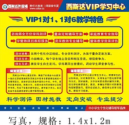 VIP教学特色