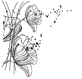 百合花
