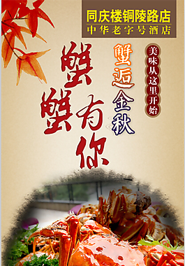 蟹蟹有你