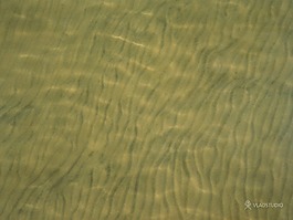 水纹背景