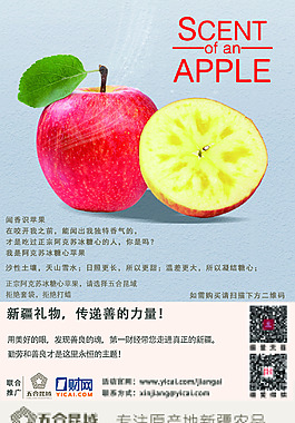 阿克苏冰糖心苹果
