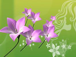 鲜花绽放