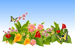 百花争艳