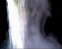 实拍水稻大米视频