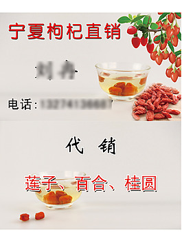 枸杞子名片
