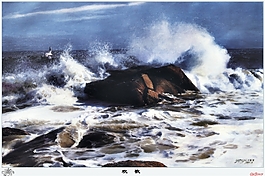 浪花欢歌