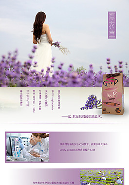 没有主题的详情页