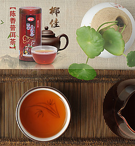 普洱茶介绍