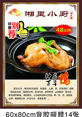 神龙百草鸭图片