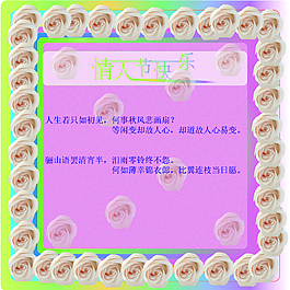 情人节 粉色 玫瑰花