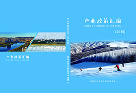 书皮