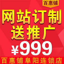 网站订制 /推广