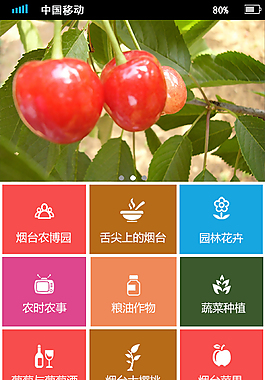 食品果蔬公司APP功能首页UI设计