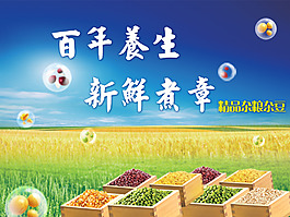 杂粮轮播