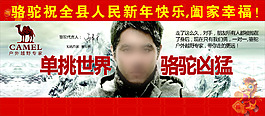 美国骆驼