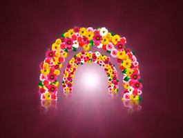 2种花环婚礼开场片头视频