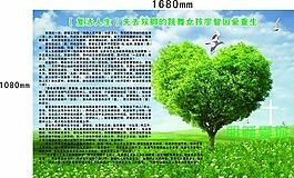 复活人生