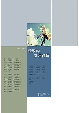 精致