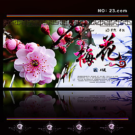 梅花自然养生