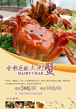 大闸蟹海报