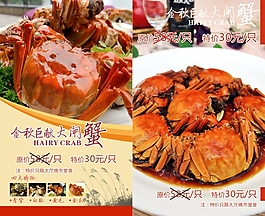大闸蟹广告