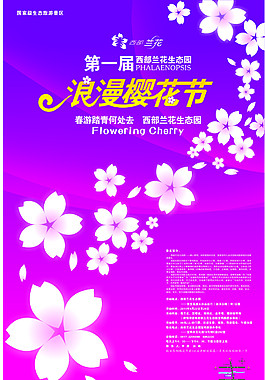 樱花节    唯美   宣传单