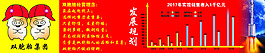 双胞胎饲料发展规划