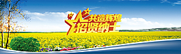 公司人才招聘