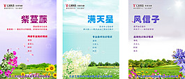 培训花背景
