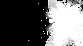 黑白蝴蝶视频素材