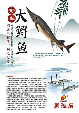 鱼的海报